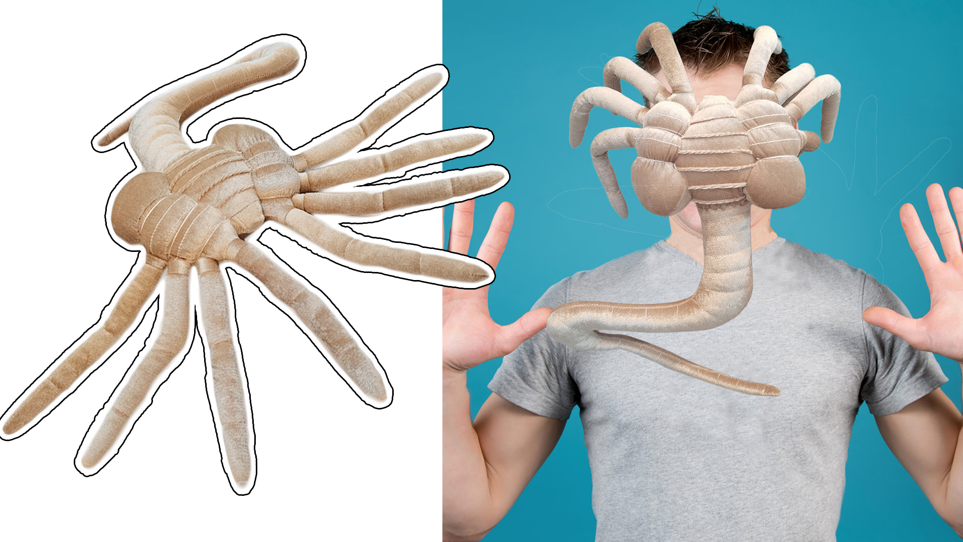 Watch Alien Facehugger Plush on Amazon Live